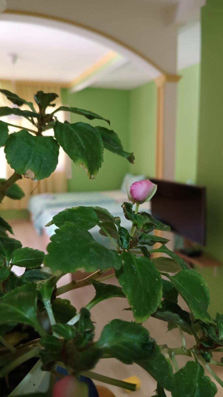Villa Re3Ca 스코페 외부 사진